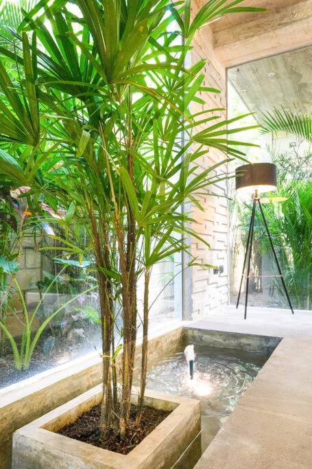 Villa Nimi Architectural Masterpiece Experience Private Pool & Great Concierge Service By Hum Living Tulum Esterno foto